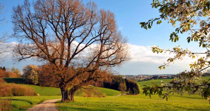 Arnstorf Natur Umgebung